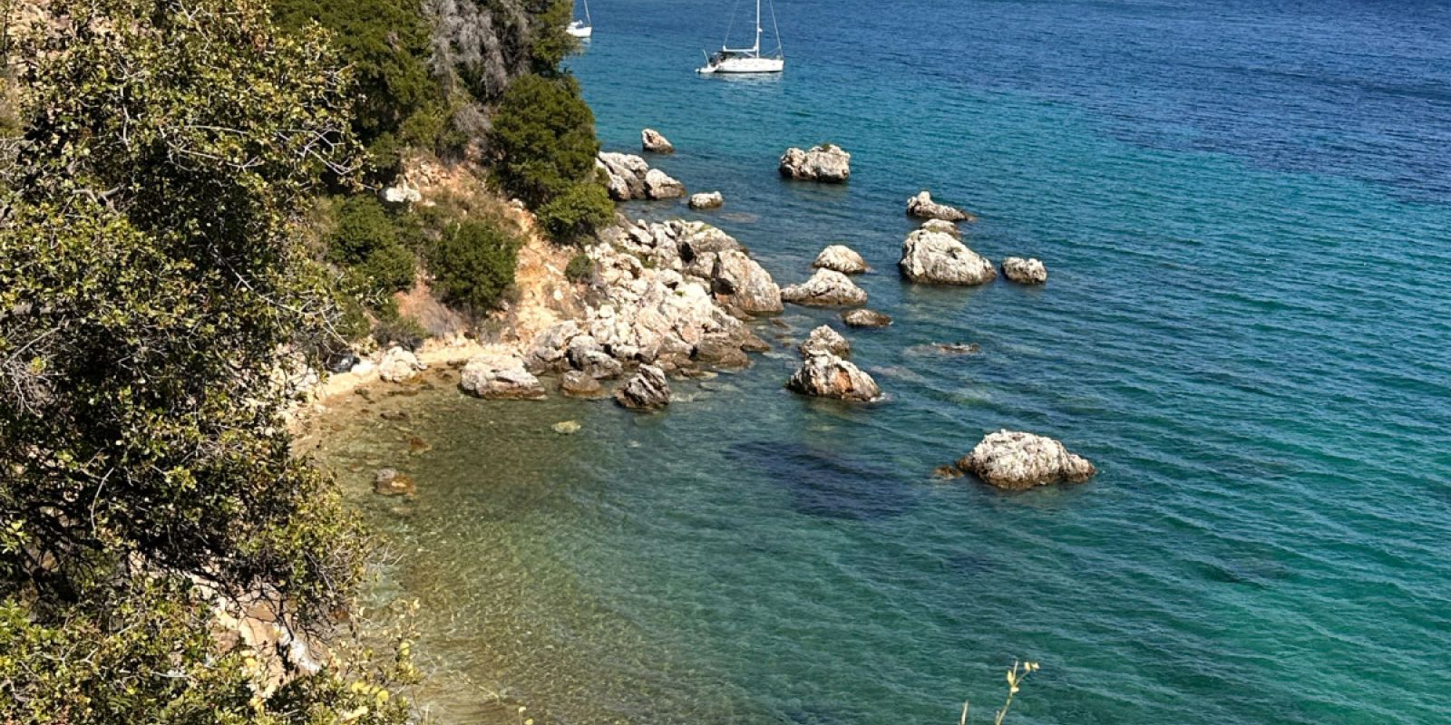 The Area