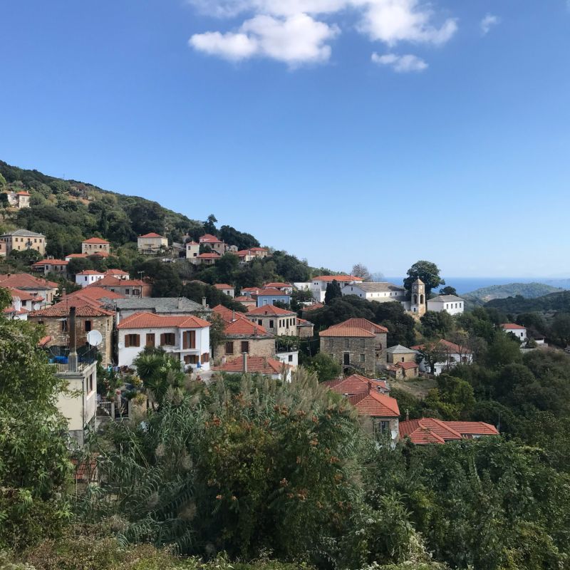 Promyri