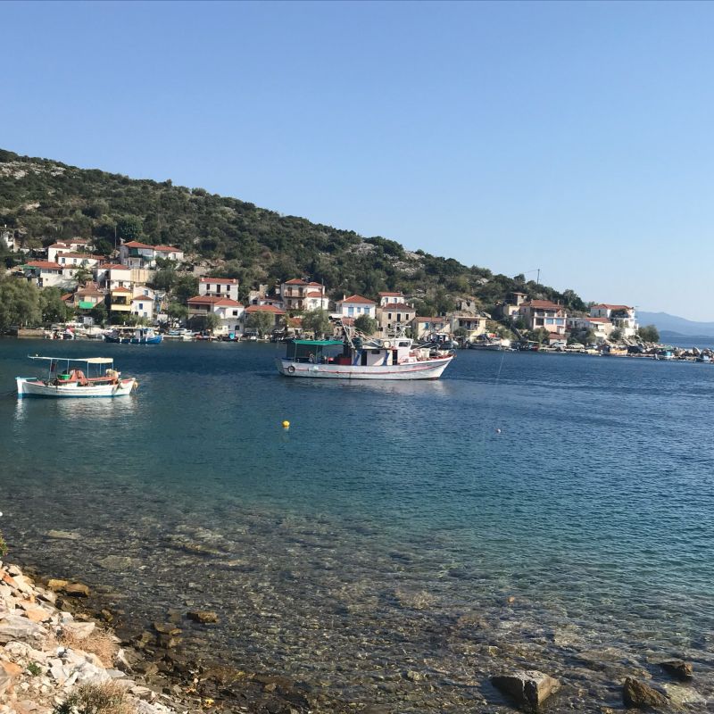 The Area